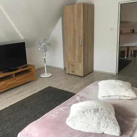Modern Apartment Brasov