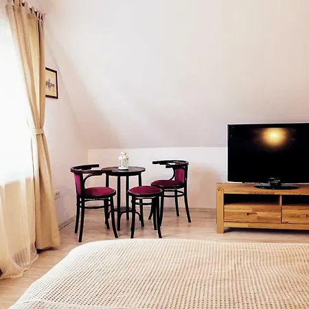Modern Apartment Brasov